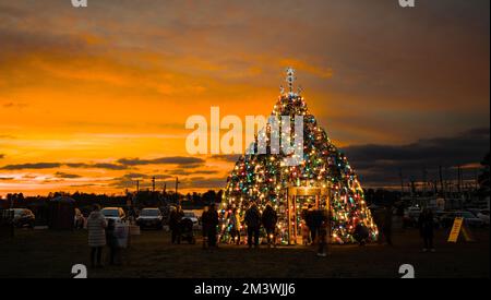 Stonington Lobster Trap Christmas Tree   Stonington, Connecticut, USA Foto Stock