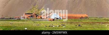 Vecchia stazione di caccia alle balene abbandonata a Stomness Harbour, Georgia del Sud Foto Stock