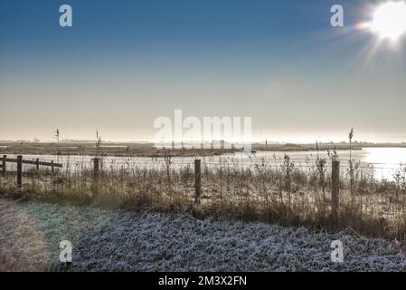Den Helder, Paesi Bassi. Dicembre 2022. Paesaggio invernale olandese con gelo. Foto di alta qualità Foto Stock