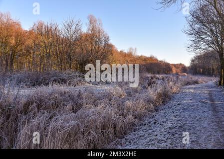 Den Helder, Paesi Bassi. Dicembre 2022. Paesaggio invernale olandese con gelo. Foto di alta qualità Foto Stock