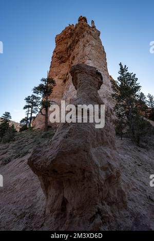 Guardando in su a Hoodoo sul bordo di un Ridge nel Canyon di Bryce Foto Stock