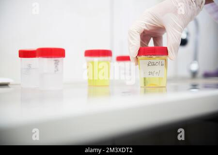 Ricercatore che mostra i portacampioni in un laboratorio. Foto Stock