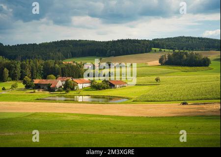 Alcune fattorie e uno stagno in Baviera, circondato da campi di mais e foreste, in estate. Un agricoltore con un trattore sta lavorando sul campo davanti. IO Foto Stock