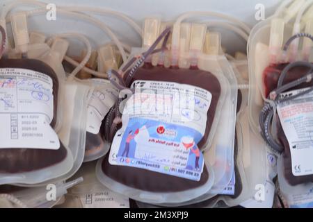 Cairo, Egitto, dicembre 13 2022: Sacche di sangue da donatori con diversi gruppi di sangue in una scatola di ghiaccio di banca del sangue durante una campagna di donazione di sangue per ch Foto Stock