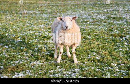 Una giornata fredda di inverni sulla collina di Pendle Foto Stock