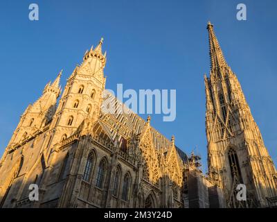 Cattedrale Di Santo Stefano, Vienna, Austria Foto Stock