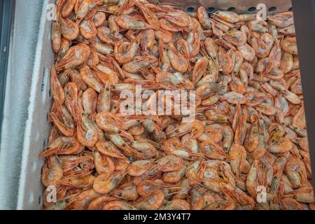 Vista ravvicinata dei gamberetti surgelati isolati. Concetto di cibo sano. Svezia. Foto Stock