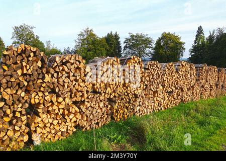 Fasci di legna da ardere su un prato verde Foto Stock