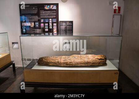 Ritratti di mummia Fayum. Vari oggetti espositivi, in esposizione, vetrine, mostre, Museo Egizio, Barcellona, Catalogna, Spagna Foto Stock