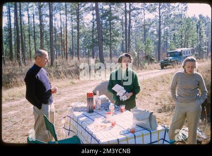 Alfred Vanderbilt Farm, toni Frissell, Antoinette Frissell Bacon, Antoinette Frissell Foto Stock