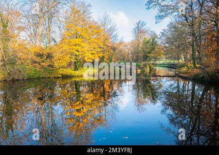 Splendidi riflessi di alberi in colori autunnali nell'acqua di uno stagno nel parco cittadino 'Westbroekpark' a l'Aia, Paesi Bassi Foto Stock
