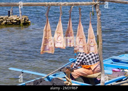 Pesce secco pescatore al sole, Croazia. peschi su una rastrelliera che asciuga lungo il mare adriatico. Foto Stock