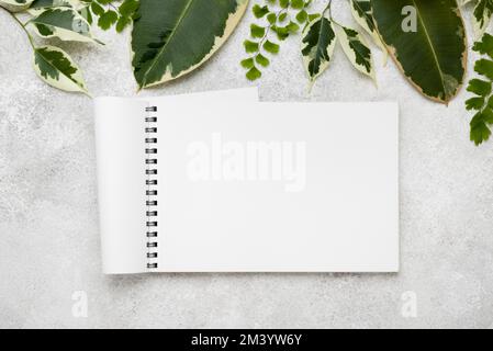 Flat Lay bella pianta foglie con taccuino Foto Stock