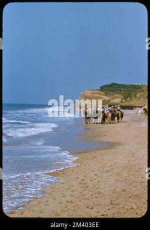 Montauk Fishing, toni Frissell, Antoinette Frissell Bacon, Antoinette Frissell Foto Stock