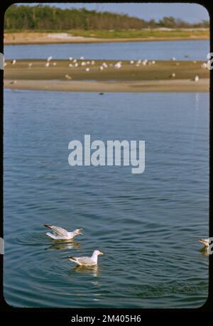 Montauk Fishing, toni Frissell, Antoinette Frissell Bacon, Antoinette Frissell Foto Stock