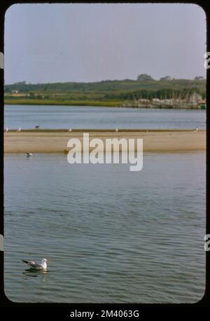 Montauk Fishing, toni Frissell, Antoinette Frissell Bacon, Antoinette Frissell Foto Stock