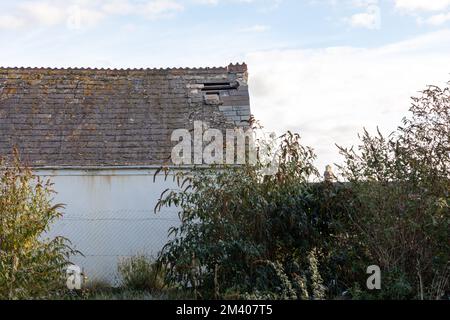 Il tetto di una casa abbandonata con piastrelle rotte circondate da alberi verdi e cieli azzurri in un ambiente rurale Foto Stock
