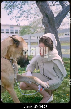 Fattoria Alfred Vanderbilt - figlia di Fergison, toni Frissell, Antoinette Frissell Bacon, Antoinette Frissell Foto Stock