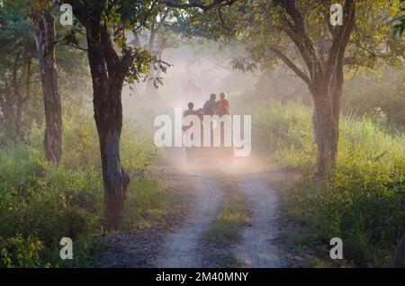 Safari in Jeep sulle strade polverose nel Parco Nazionale di Kaziranga Foto Stock