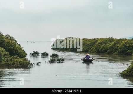 Il Vietnam vecchia donna vietnamita tradizionale a remi in barca vietnamita. Natura del sud-est asiatico. donna in un cappello di paglia galleggia su una barca di legno dal fiume Foto Stock