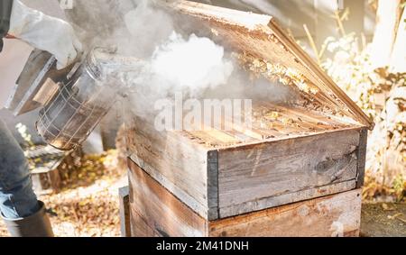 Apicoltura, legno scatola e fumo con la natura e l'apicoltura, estrazione di miele e prodotti naturali all'aperto. Coltivatore, apicoltore e alveare, biologico con Foto Stock