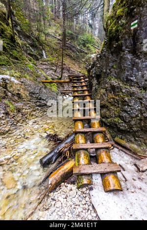 Paradiso della Slovacchia - il canyon del fiume Sucha Biela con percorso turistico. Escursioni nel canyon del fiume, alberi forestali ai lati. Bella natura nel spr Foto Stock