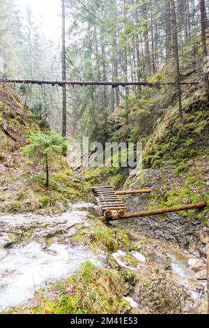 Paradiso della Slovacchia - il canyon del fiume Sucha Biela con percorso turistico. Escursioni nel canyon del fiume, alberi forestali ai lati. Bella natura nel spr Foto Stock