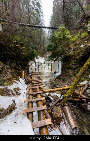 Paradiso della Slovacchia - il canyon del fiume Sucha Biela con percorso turistico. Escursioni nel canyon del fiume, alberi forestali ai lati. Bella natura nel spr Foto Stock