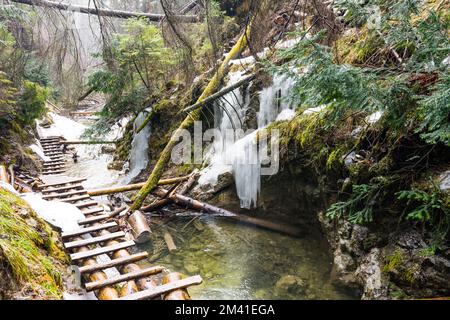 Paradiso della Slovacchia - il canyon del fiume Sucha Biela con percorso turistico. Escursioni nel canyon del fiume, alberi forestali ai lati. Bella natura nel spr Foto Stock