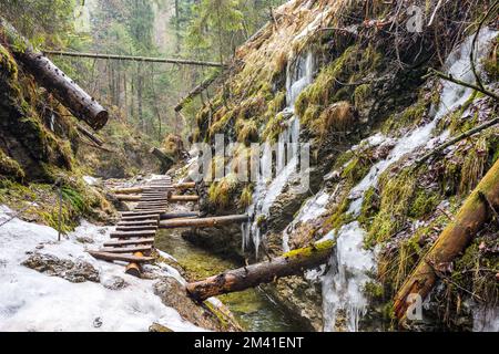 Paradiso della Slovacchia - il canyon del fiume Sucha Biela con percorso turistico. Escursioni nel canyon del fiume, alberi forestali ai lati. Bella natura nel spr Foto Stock