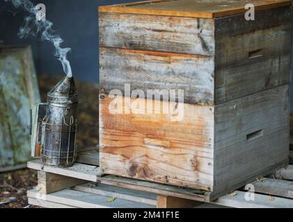 Scatola di legno, fumo o apicoltore attrezzature su sostenibilità agricoltura, ambiente rurale natura miele fattoria. Utensile per fumare, contenitore a nido d'ape Foto Stock