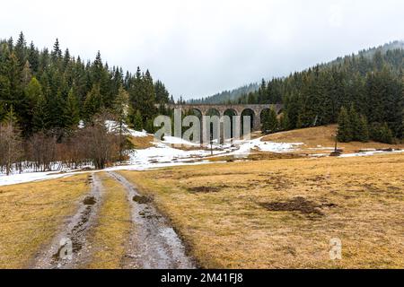 Slovacchia viadotto treno storico ponte nella foresta e le montagne. Ferrovia storica e trasporti. Prato con neve in primo piano, wint innevato Foto Stock