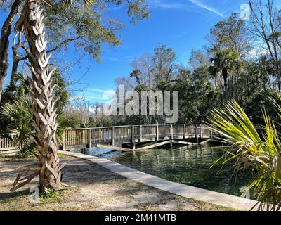 Orlando, FL USA - 14 gennaio 2021: I sentieri escursionistici al Wekiwa state Park di Orlando, Florida. Foto Stock