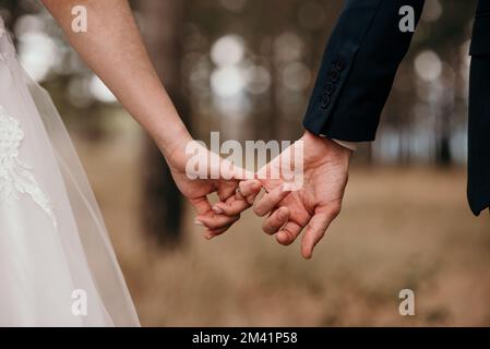 Una coppia che si tiene le mani durante il vestito per la cerimonia nuziale Foto Stock