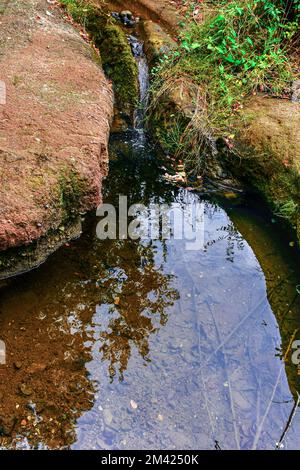 Una cascata in miniatura di un torrente forestale. L'acqua scorre in una piccola piscina naturale. Le pietre circostanti sono sovra-coltivate con alghe e muschio. Foto Stock