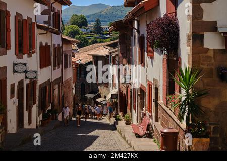 Una bella vista sulla strada del villaggio basco in estate vicino a Ostabat, ai piedi dei Pirenei Foto Stock
