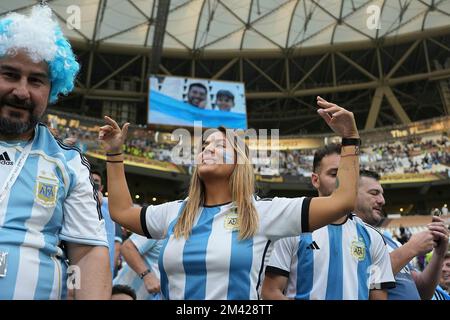 12/18/2022, Lusail iconic Stadium, Doha, QAT, Coppa del mondo FIFA 2022, finale, Argentina vs Francia, nella foto tifosi argentini negli stand. Foto Stock