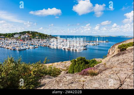 Porto con barche in estate Foto Stock