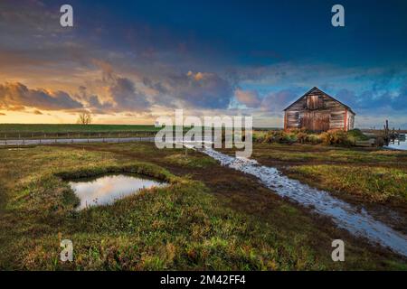 Thornham Old Harbour al tramonto, Thornham, Norfolk, Inghilterra, Regno Unito Foto Stock