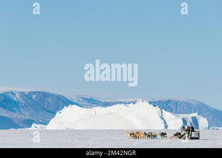 Gita in slitta trainata da cani di fronte agli iceberg Foto Stock