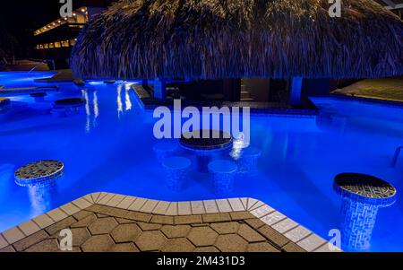 Manatees Swim Up Bar a Sunscape Resort, Willemstad, Curacao, Antille Olandesi Foto Stock