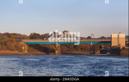 Treno velocissimo di classe 156 della Northern Rail che attraversa Carlisle Bridge (Lancaster, fiume Lune) sulla linea principale della costa occidentale Foto Stock
