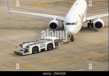 Tugs di aeroplano, macchina per spingere indietro l'aeroplano al tasseway, una in servizi di assistenza a terra Foto Stock