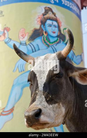 Mucca Santa di fronte a un enorme Shiva-pittura ai ghats Foto Stock