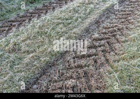 Acqua congelata su grandi cingoli di trattore di fattoria. Per il freddo, la vita in fattoria, l'inverno in una fattoria. Foto Stock