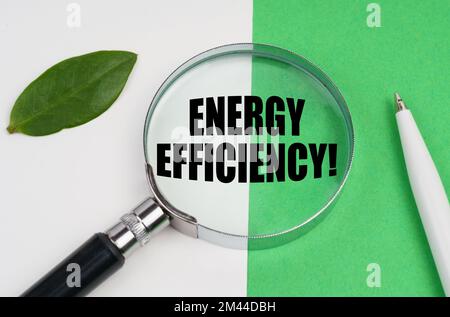 Concetto ecologico. Su fondo bianco-verde si trova una penna, una foglia di una pianta e una lente d'ingrandimento, al cui interno è presente l'iscrizione - Energy Efficie Foto Stock