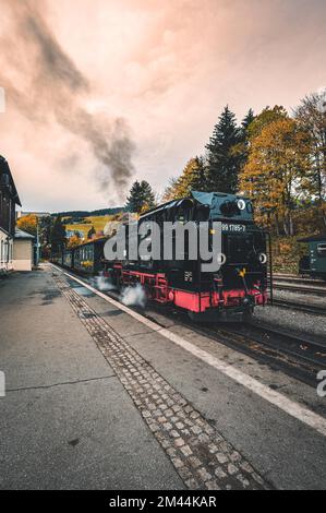 La ferrovia a scartamento ridotto Fichtelbergbahn si trova di fronte all'inizio di Oberwiesenthal, presso la stazione Oberwiesenthal, Sachsen, Deutschalnd Foto Stock