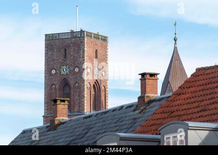 Ribe, la città più antica della Danimarca, Ribe, Jutland, Danimarca Foto Stock