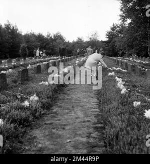 Il tradizionale omaggio ai russi morti, soldati e vittime della dittatura nazista, con l'evento Flowers for Stukenbrock 1970, si è concentrato su Foto Stock