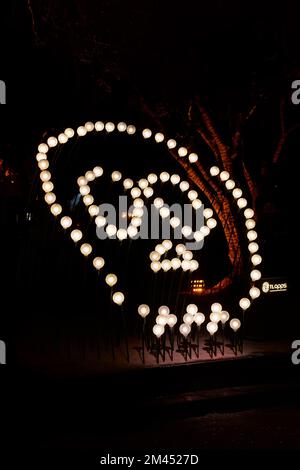 cranio formato da diverse lampadine illuminate a forma di cranio Foto Stock